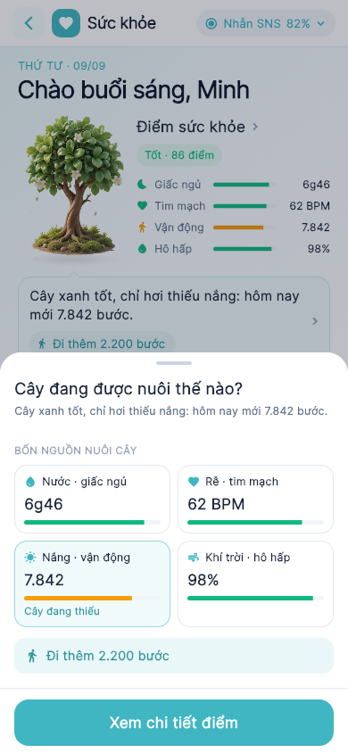 What is feeding the tree?